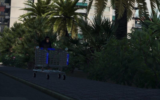 可行驶的购物车V1.0国防部