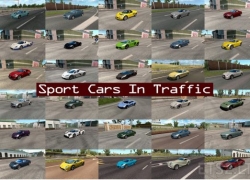 TrafficManiac v 5.7的跑车交通包